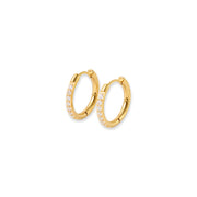 Elizabeth Hoops